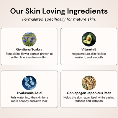 Changing Foundation-4-in-1